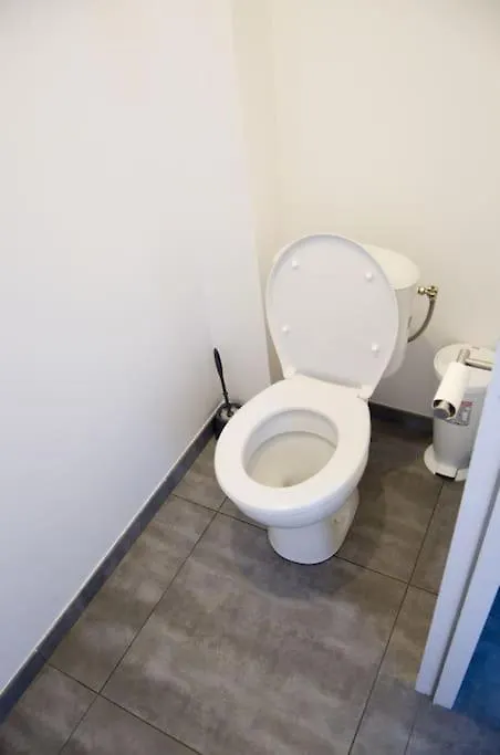 Maison Spacieuse Climatisee Avec Jardin 2 Pkg Et Piscine Aucamville Villa